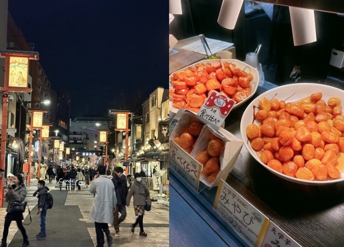 東京獨自旅行行程 東京獨自旅行行程