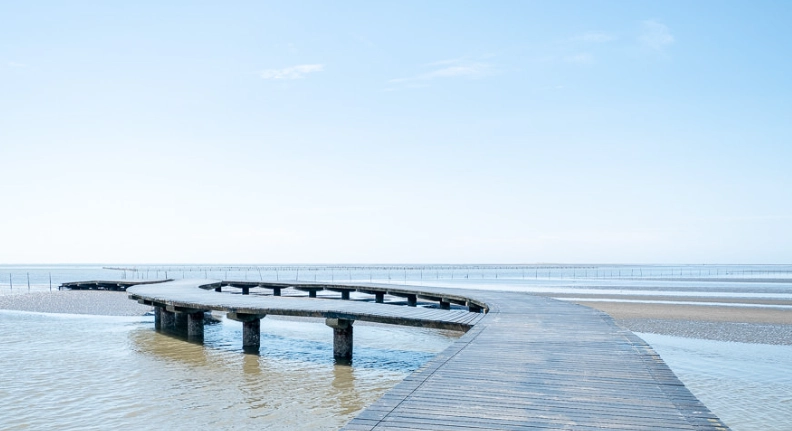 清水高美濕地行程