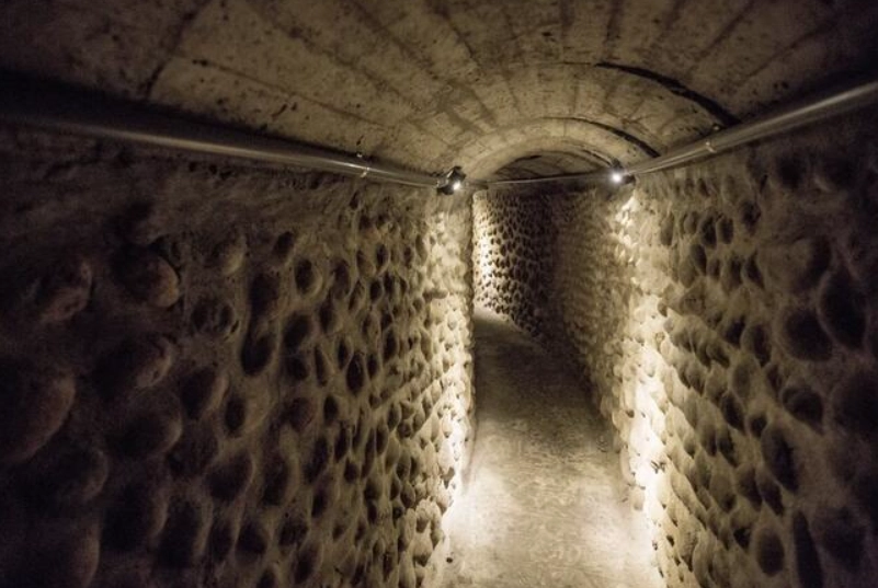 清水高美濕地行程