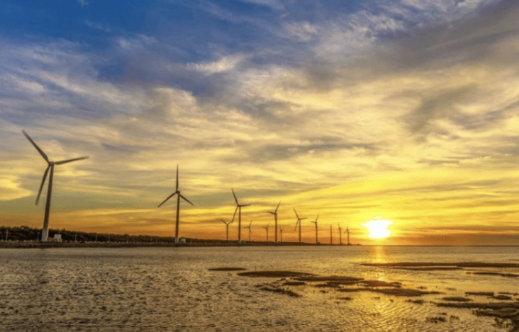 清水高美濕地行程