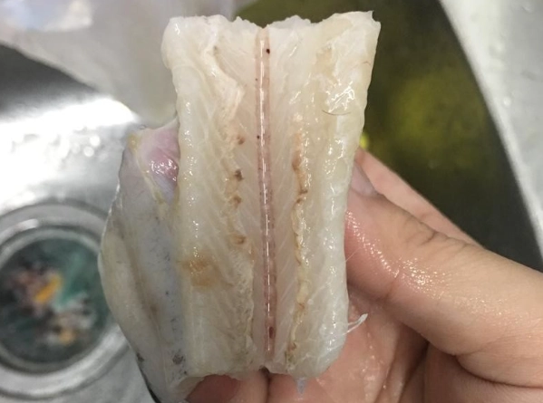 白帶魚清洗技巧
