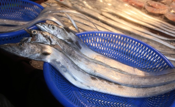 白帶魚烹飪秘訣