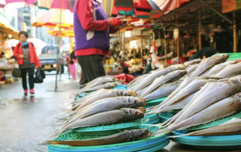 釜山最佳海鮮時令