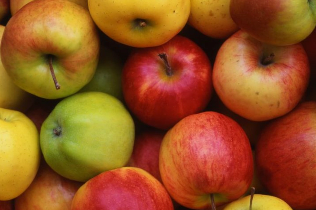蘋果GI值