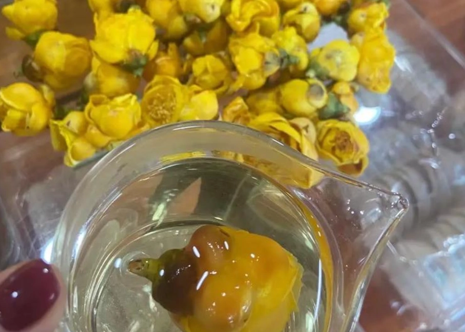 金花茶不良反應 金花茶不良反應