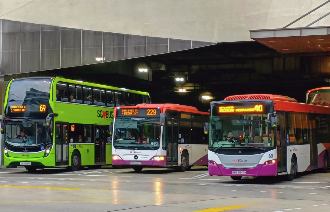 魚尾獅公園怎麼去 魚尾獅公園怎麼去