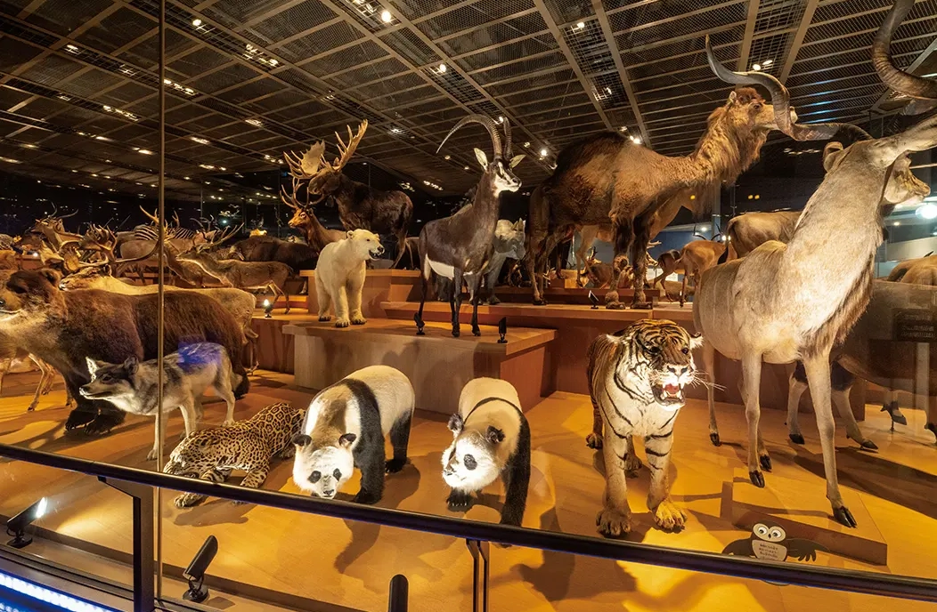 東京親子自由行 東京親子自由行