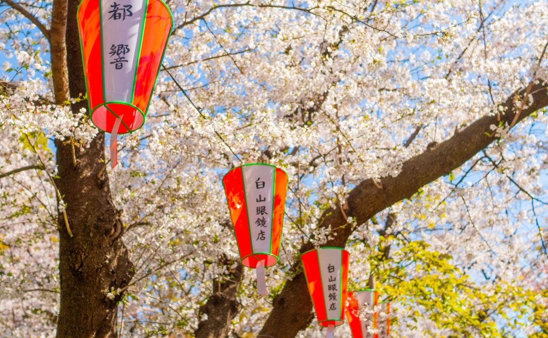 上野動物園 上野動物園