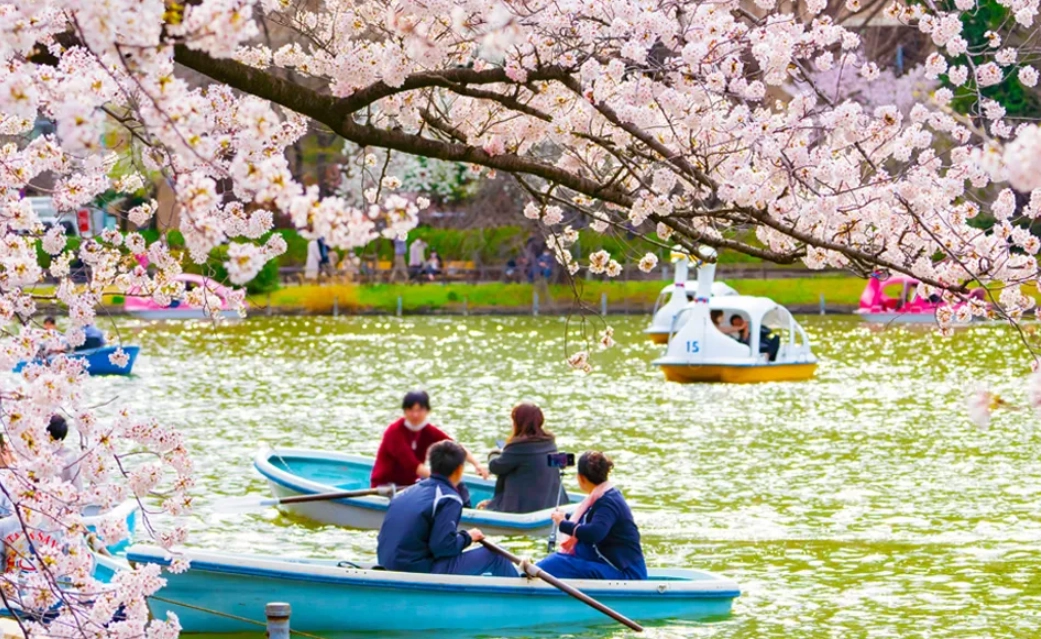 上野景點 上野景點