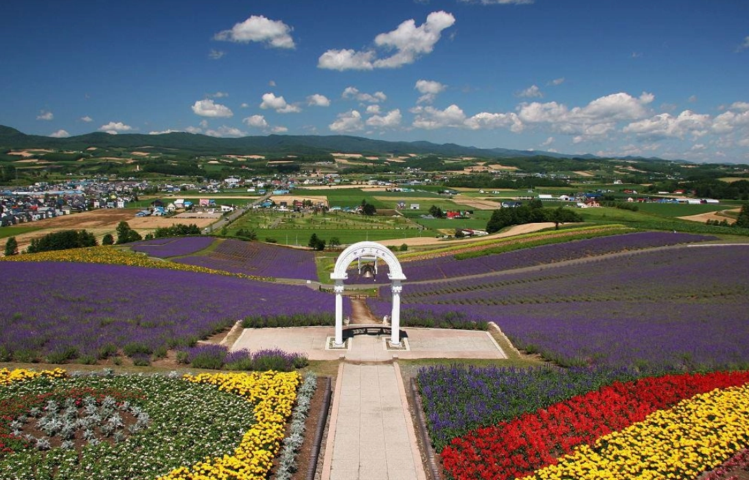 北海道富良野旅遊 北海道富良野旅遊
