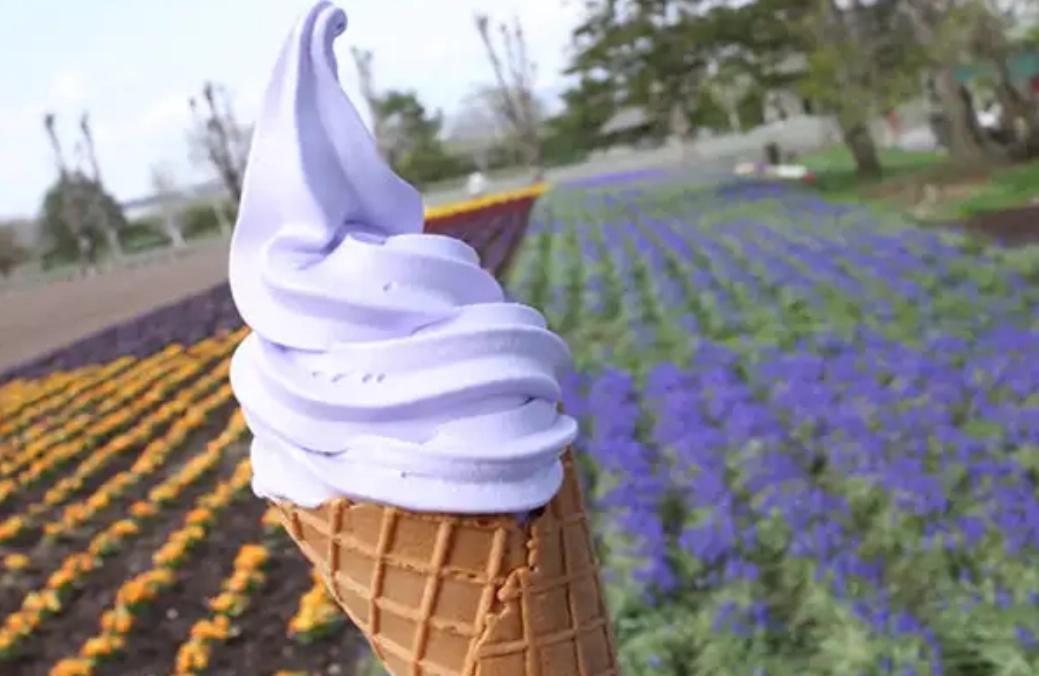 富良野自由行攻略 富良野自由行攻略