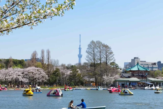 上野的觀光景點 上野的觀光景點