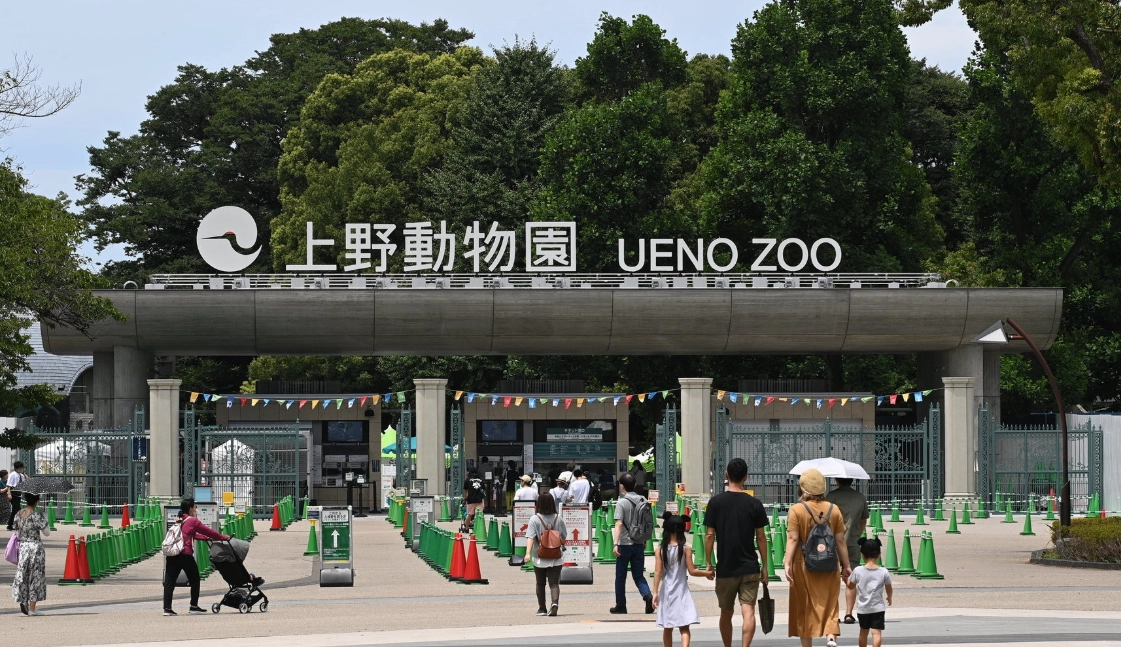 東京自由行攻略