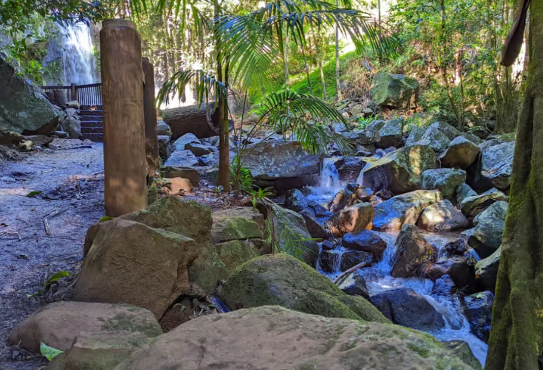 布里斯本自然景點