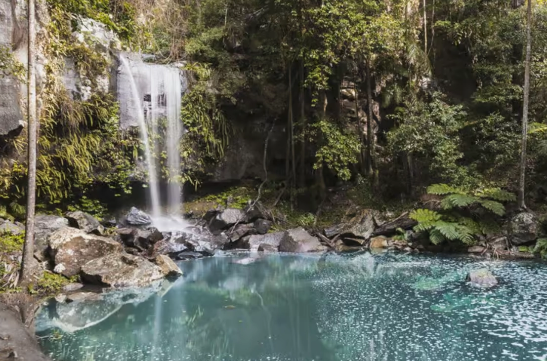 布里斯本近郊一日遊