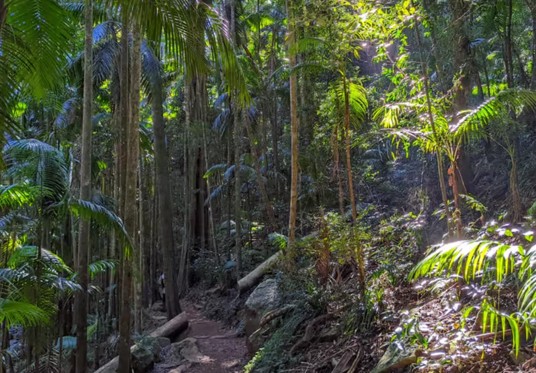 布里斯本近郊一日遊