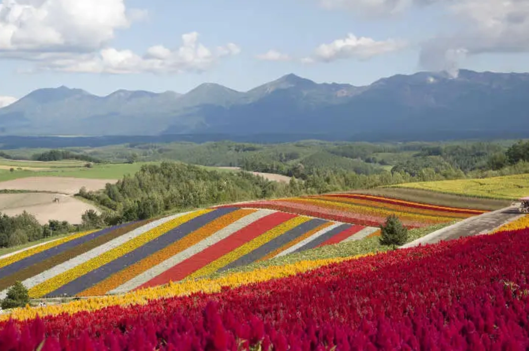 北海道十月自由行
