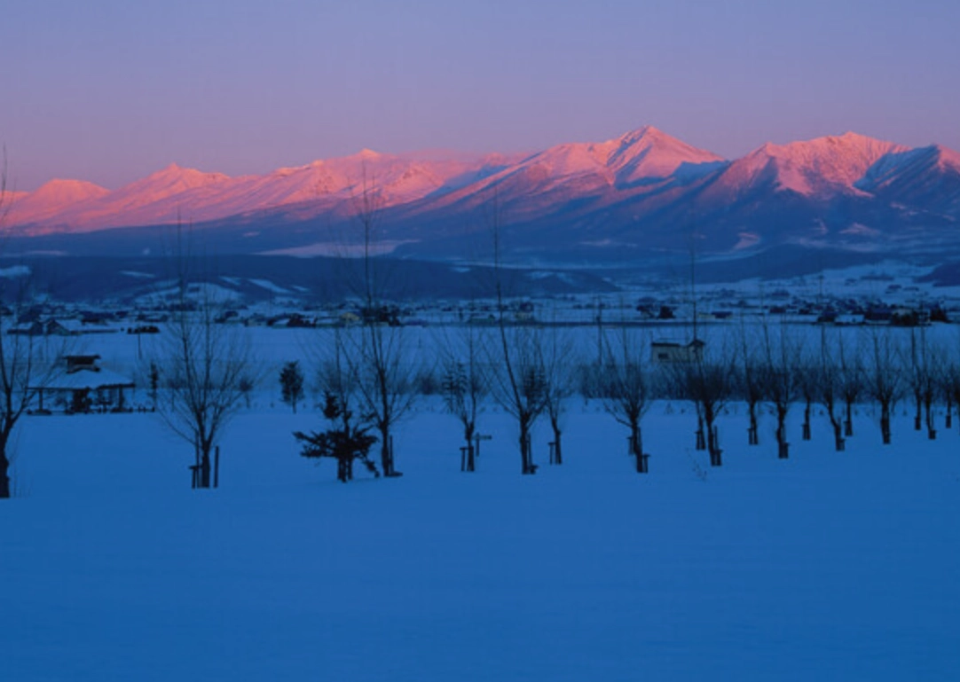 富良野冬季景點