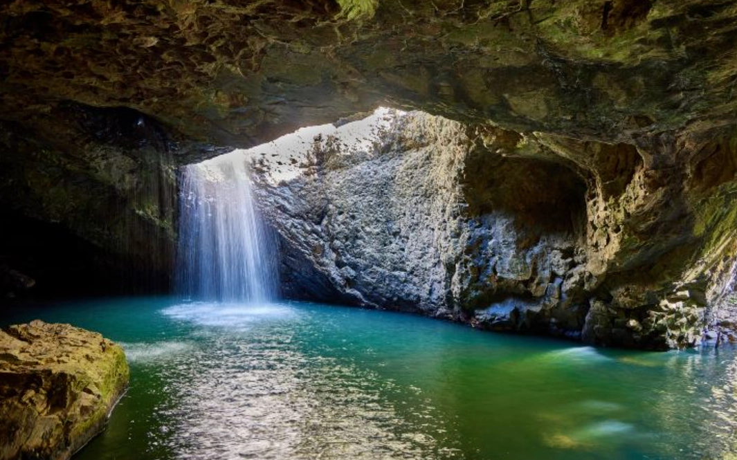 布里斯本自然景點