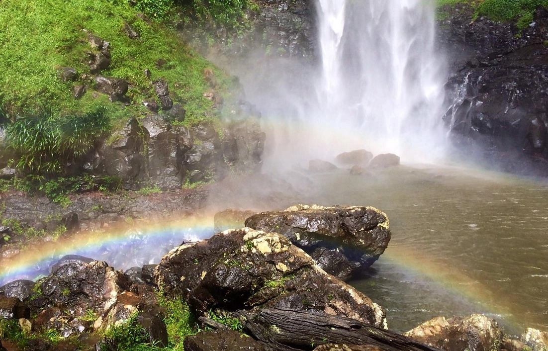 布里斯本自然景點