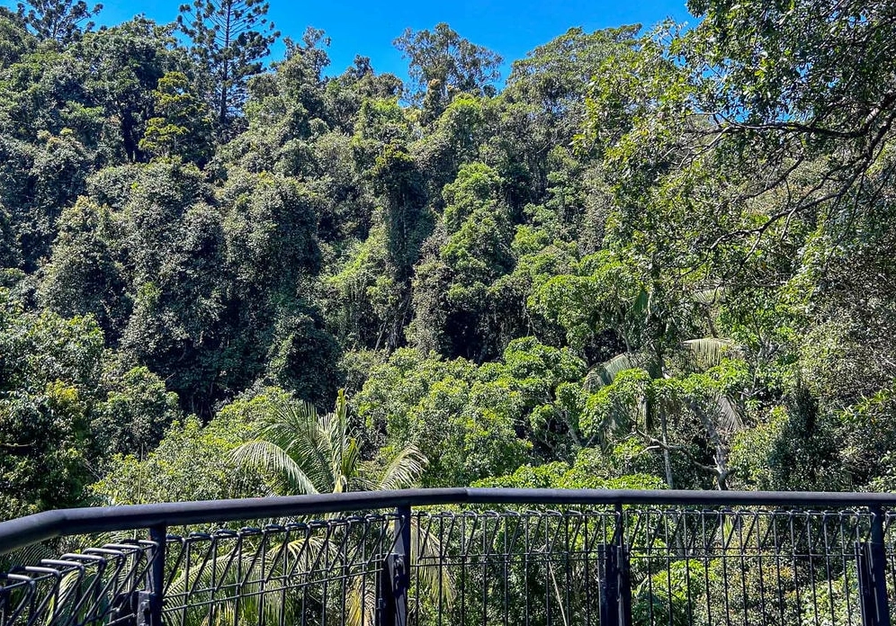 布里斯本自然景點