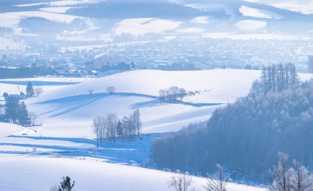 冬天富良野一日遊