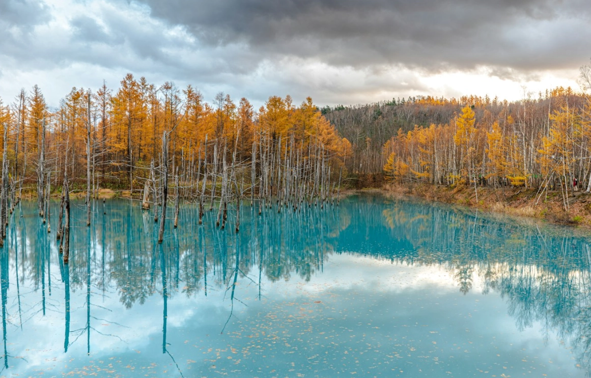 美瑛十月自由行攻略：秋景絕景、行程規劃與必去景點