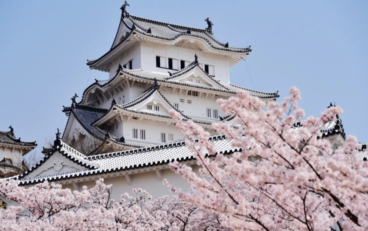 大阪去兵庫縣自由行全攻略：交通、景點、行程規劃一次搞定