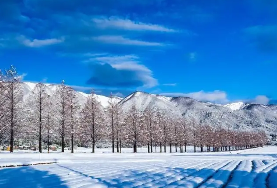 大阪近郊冬季景點全攻略：冰瀑、溫泉、雪景一次滿足